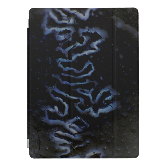 Ipad pro fontanelle highlight case (Front)