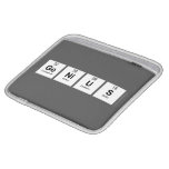 Genius  iPad Sleeves