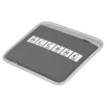 celebrate
   iPad Sleeves