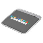 Zen Betancourt 
  2020-2021  iPad Sleeves
