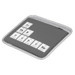 in
 the 
 future  iPad Sleeves