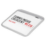 Cunnilingus  crescent  iPad Sleeves