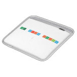 The Script Family 
 
   iPad Sleeves