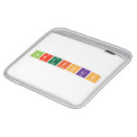 PORTFOLIO  iPad Sleeves
