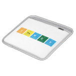 STEMEY  iPad Sleeves
