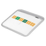 success
   iPad Sleeves
