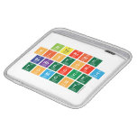 alternate
 history
 barbeque
 tonight  iPad Sleeves