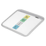 Be
 Rn
 I
 E  iPad Sleeves