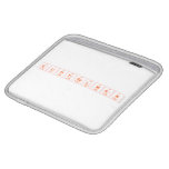 EliotGelwan  iPad Sleeves