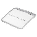 Science is Fun!  iPad Sleeves