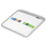 REBECCA SNELL  iPad Sleeves