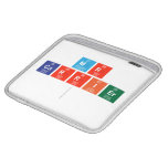 Mr
 Carrier
   iPad Sleeves