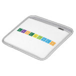 EliotGelwan  iPad Sleeves