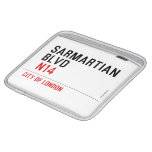 sarmartian blvd   iPad Sleeves