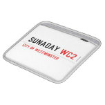 sunaday  iPad Sleeves