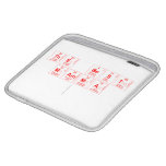 THE BEST 
 MAMMA
   iPad Sleeves