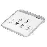 Hn
 Horneros  iPad Sleeves