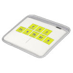 PH|S
 PaNThErS
   iPad Sleeves