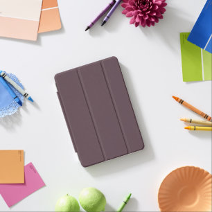 iPad Smart Cover