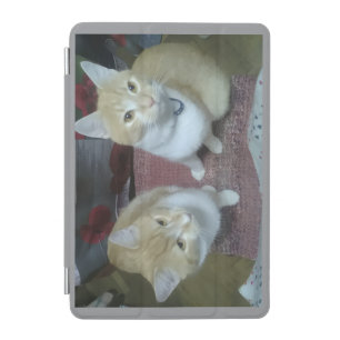 iPad Smart Cover