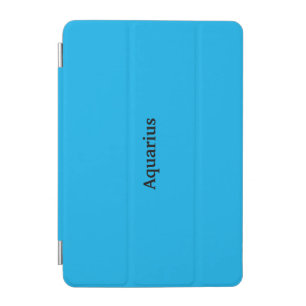iPad Smart Cover