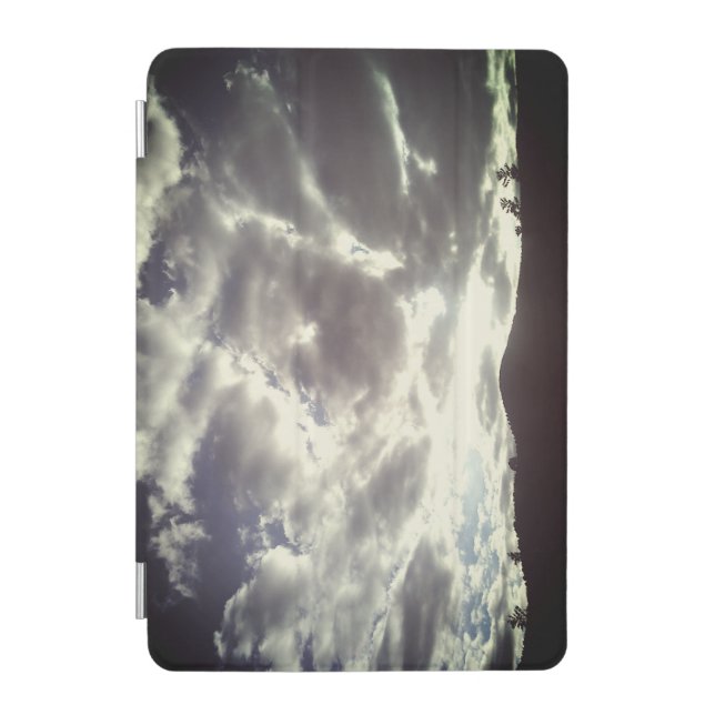 ipad tabet laptop case (Front)
