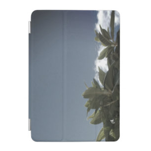 ipad tabet laptop case