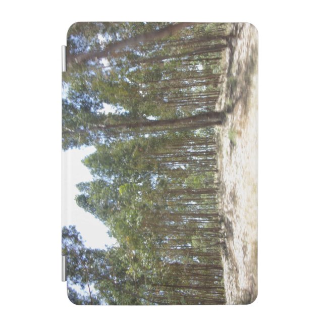 ipad tablet case ART&DESIGN STYLES (Front)