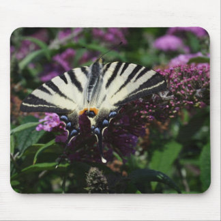 Iphiclides podalirius mouse pad