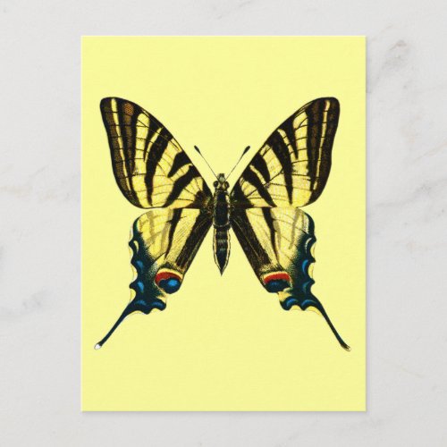 Iphiclides podalirius Postcard