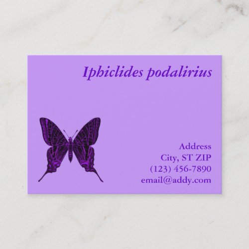 Iphiclides podalirius Profile Card