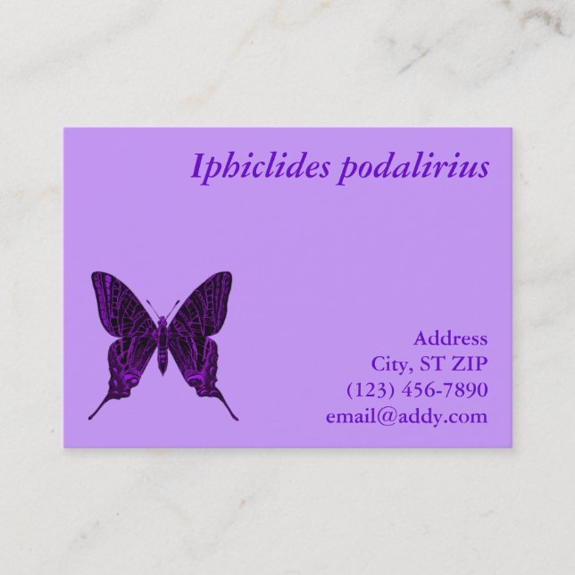 Iphiclides podalirius Profile Card (Front)