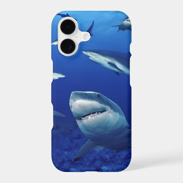 iPhone 11 Case-Sharks  Case (Back)