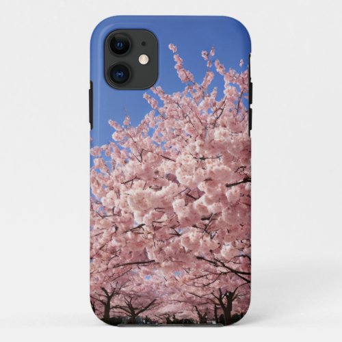 iPhone 11 Case with Cherry blossoms in spring