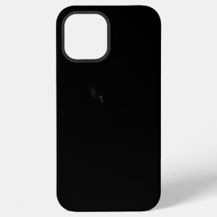 iPhone 12 pro max Case