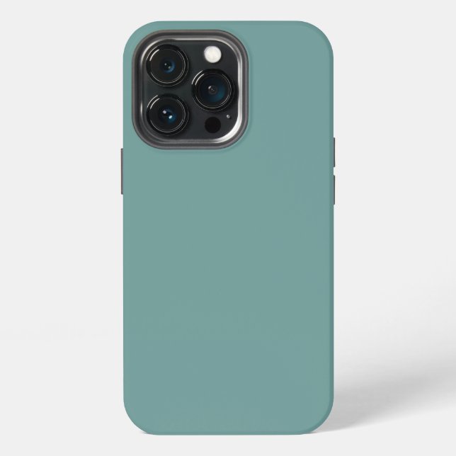 iPhone 13 pro case  (Back)
