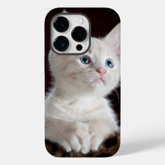 iphone 14 cases pro cat love