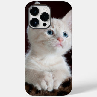 iphone 14 cases pro max cat love