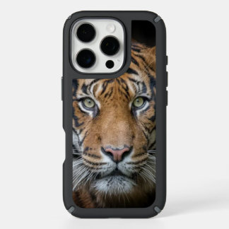 iPhone 16 pro Max case 