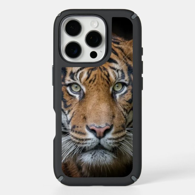 iPhone 16 pro Max case  (Front)