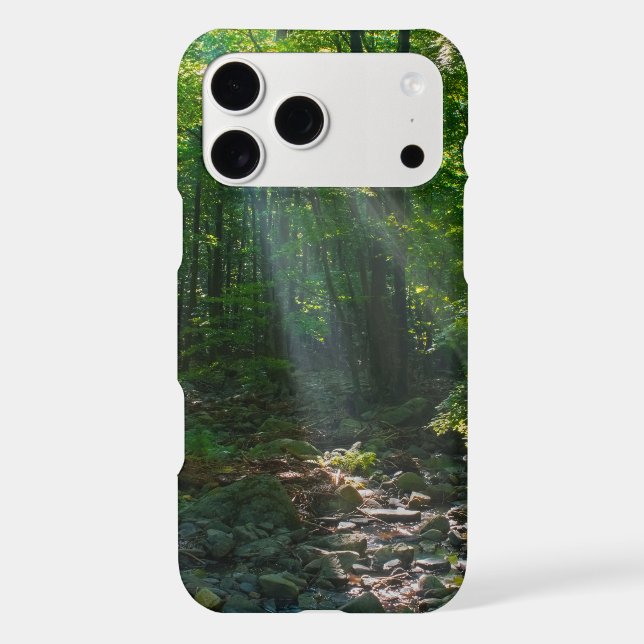 iPhone 17 Pro Max Case (Back)