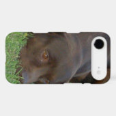 iphone 4 barely there QPC template Ca - Customized Case-Mate iPhone Case (Back (Horizontal))