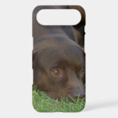 iphone 4 barely there QPC template Ca - Customized Case-Mate iPhone Case (Back)