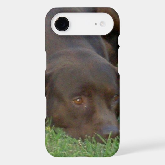 iphone 4 barely there QPC template Ca - Customized Case-Mate iPhone Case (Back)