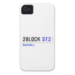 2Block  iPhone 4 Cases