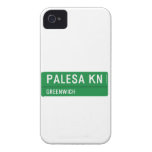PALESA  iPhone 4 Cases