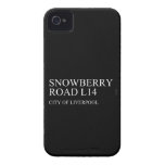 SNOWBERRY ROaD  iPhone 4 Cases