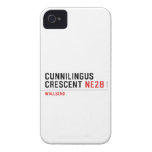 Cunnilingus  crescent  iPhone 4 Cases