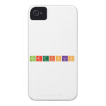 PORTFOLIO  iPhone 4 Cases