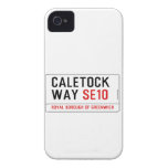 caletock  way  iPhone 4 Cases